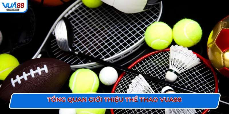 Tổng quan giới thiệu thể thao VUA88
